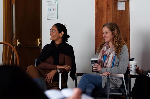 Female screenwriter non-profit The Writers Lab goes international (exclusive) (Screen Daily)
